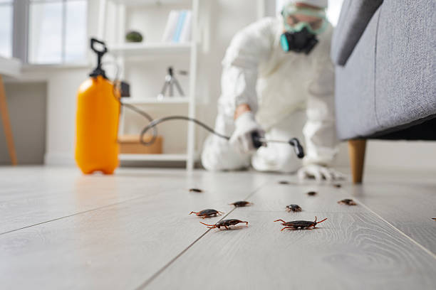 Post-Treatment Bed Bug Interceptor Monitoring in Pittsburg