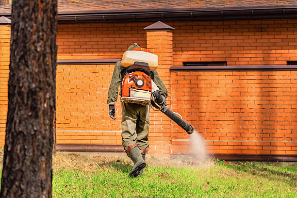 Bed Bug Clearance Verification and Documentation in Pittsburg